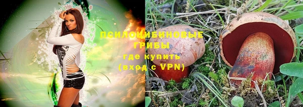 кокаин Белокуриха