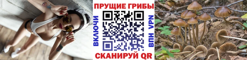 Псилоцибиновые грибы прущие грибы  Краснознаменск 